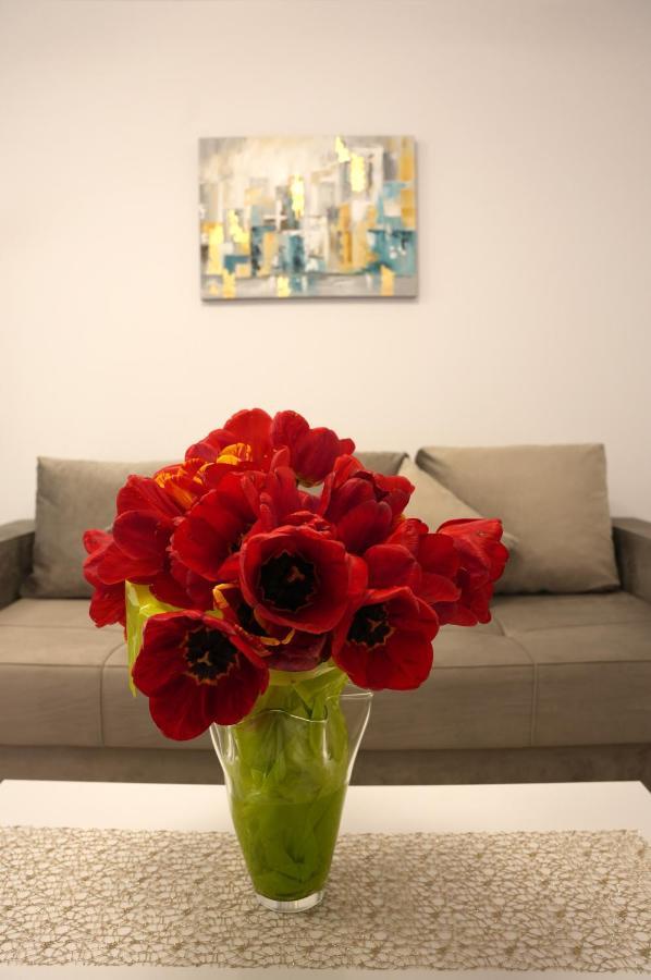 Brigitte Apartment Brasov Ngoại thất bức ảnh